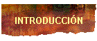 INTRODUCCIN