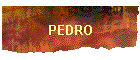 PEDRO